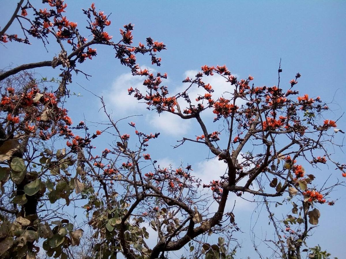 Surwahi Social Ecoestate Kanha Bagian luar foto