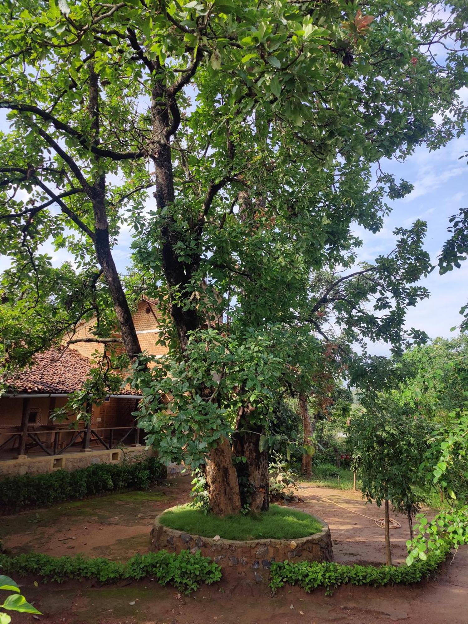 Surwahi Social Ecoestate Kanha Bagian luar foto