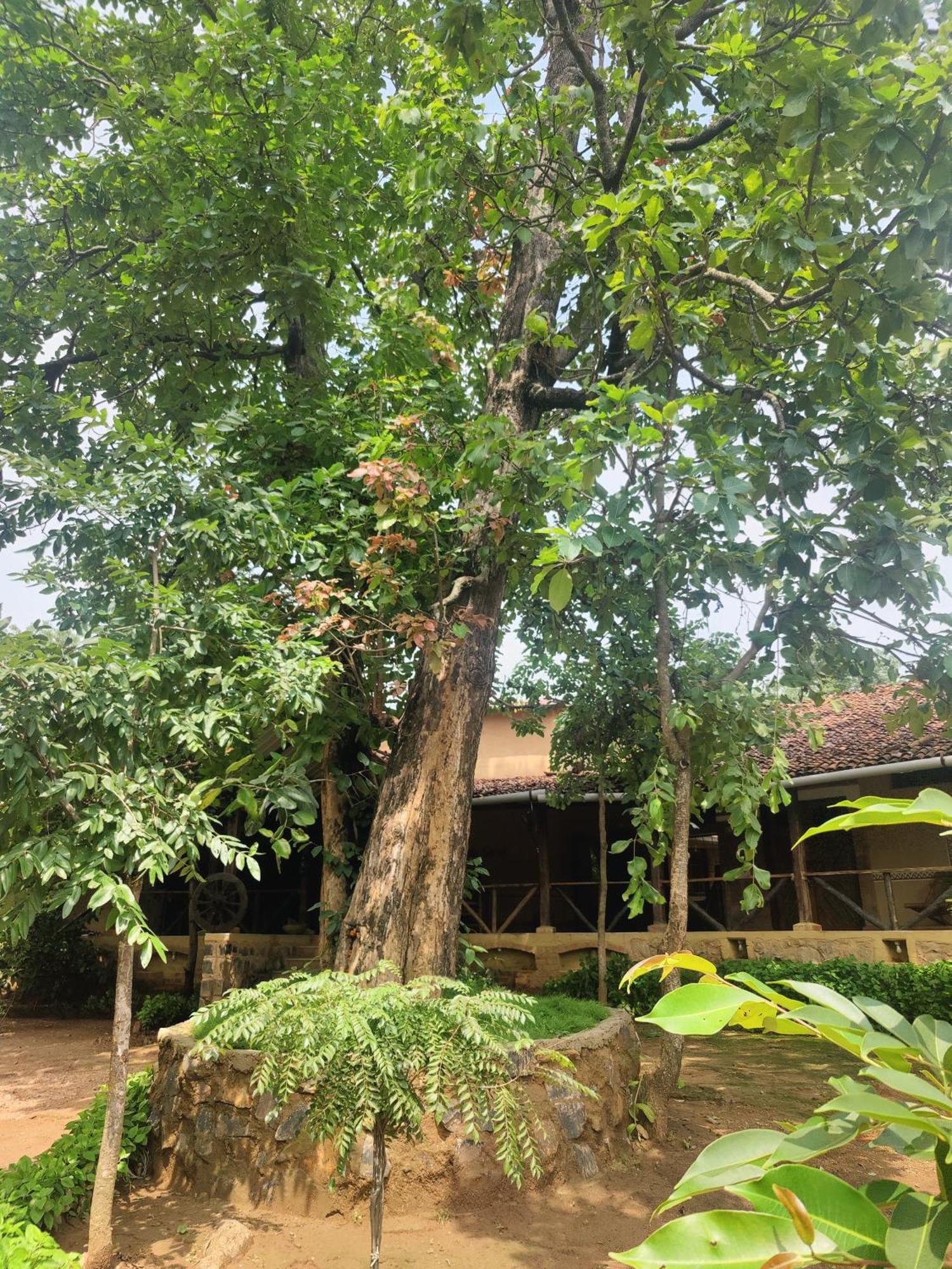Surwahi Social Ecoestate Kanha Bagian luar foto