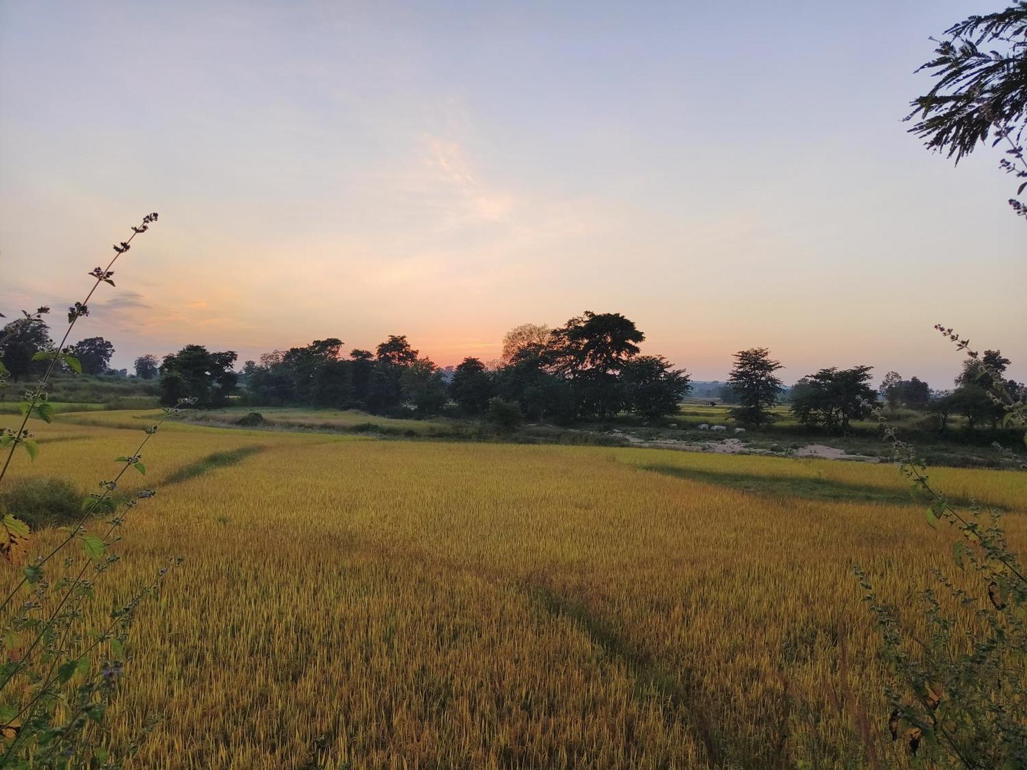 Surwahi Social Ecoestate Kanha Bagian luar foto