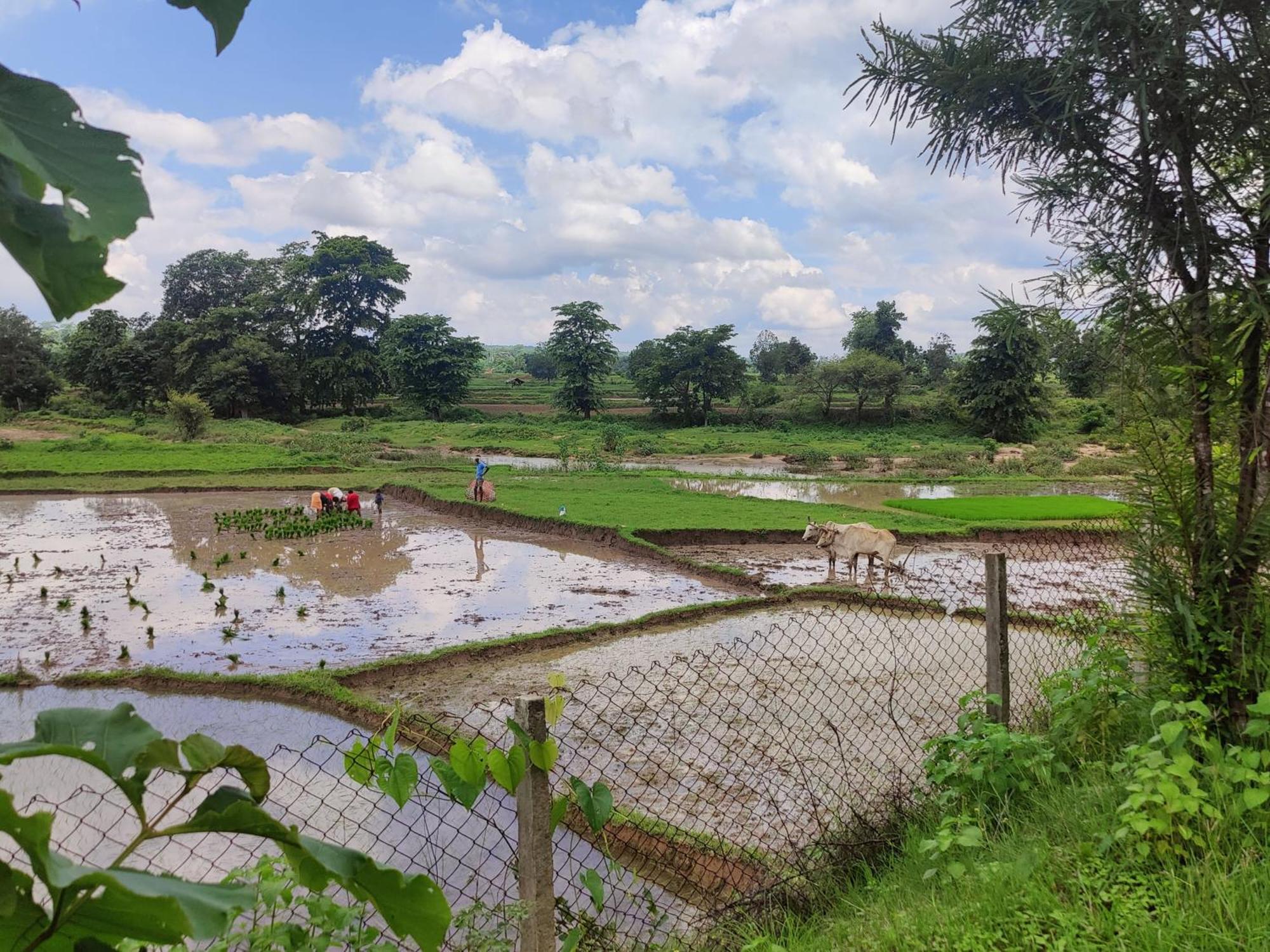 Surwahi Social Ecoestate Kanha Bagian luar foto